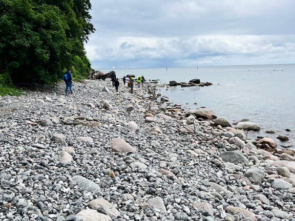 24-07-02 12-32-16 0107